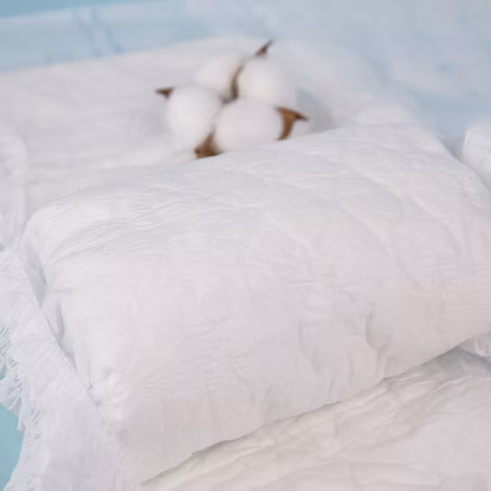 Prix ​​d'usine Chine L personnalisation Insert Pad couches imprimées japonaises couche adulte